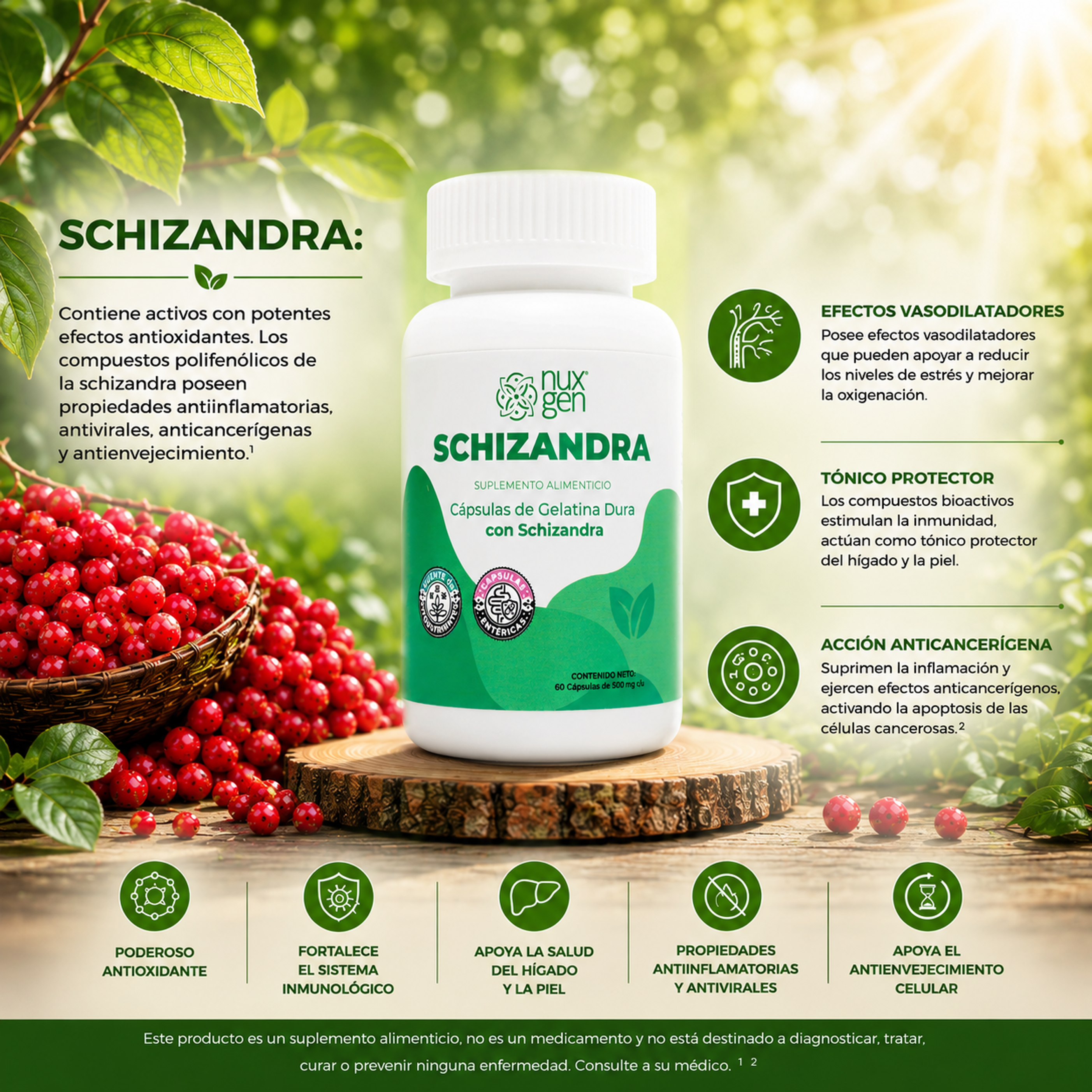 SCHIZANDRA